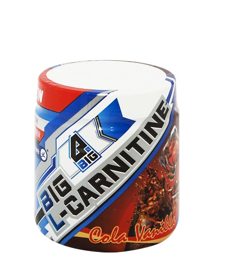 120 гр. Big l-Carnitine (120 гр.). L-карнитин big SNT. 4big карнитин.