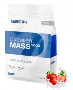 Заказать GEON Excellent Mass 5000 пакет 2720 гр